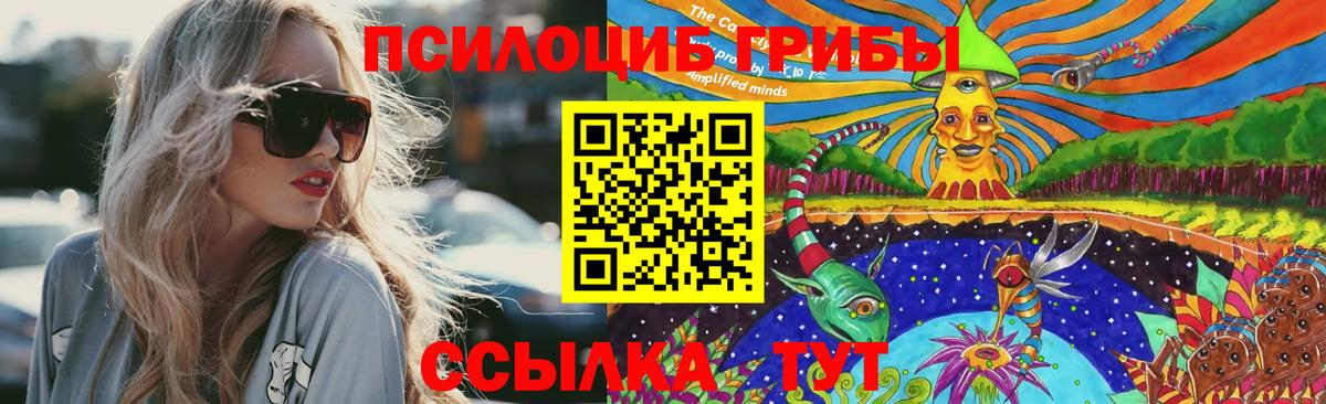 Псилоцибиновые грибы Psilocybine cubensis Набережные Челны